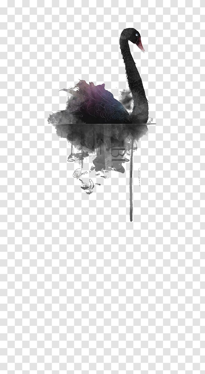 Black Swan Watercolor Painting - Feather - Antiquity Transparent PNG