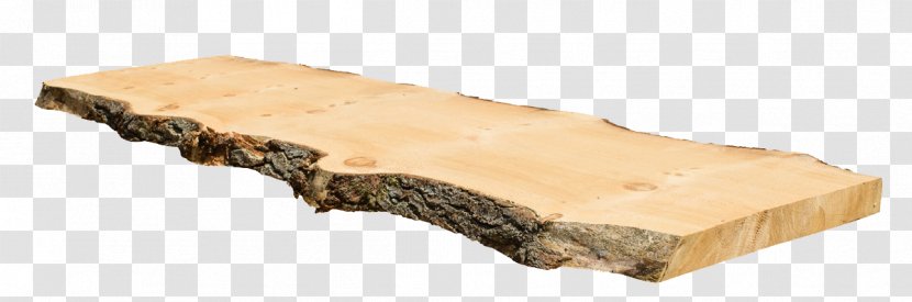Wood Eastern White Pine Live Edge Tree - Fraser Fir Transparent PNG