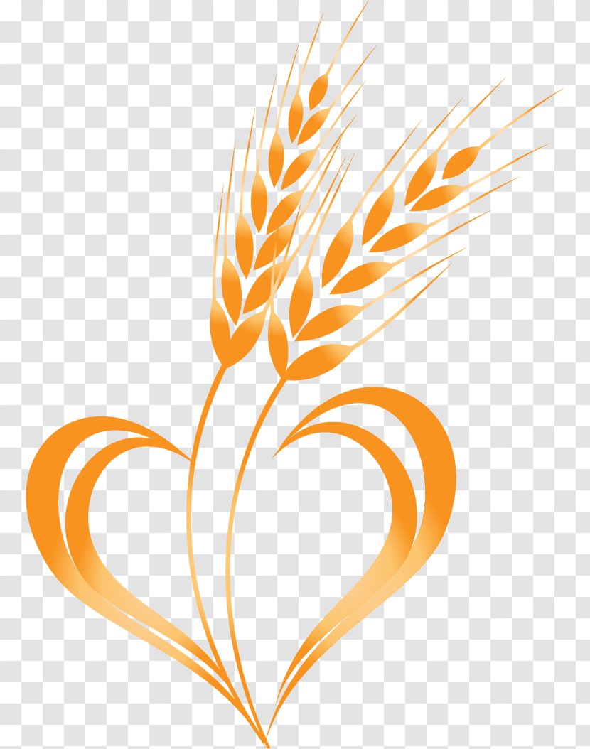 Wheat Cereal Clip Art - Hand-painted Vector Transparent PNG