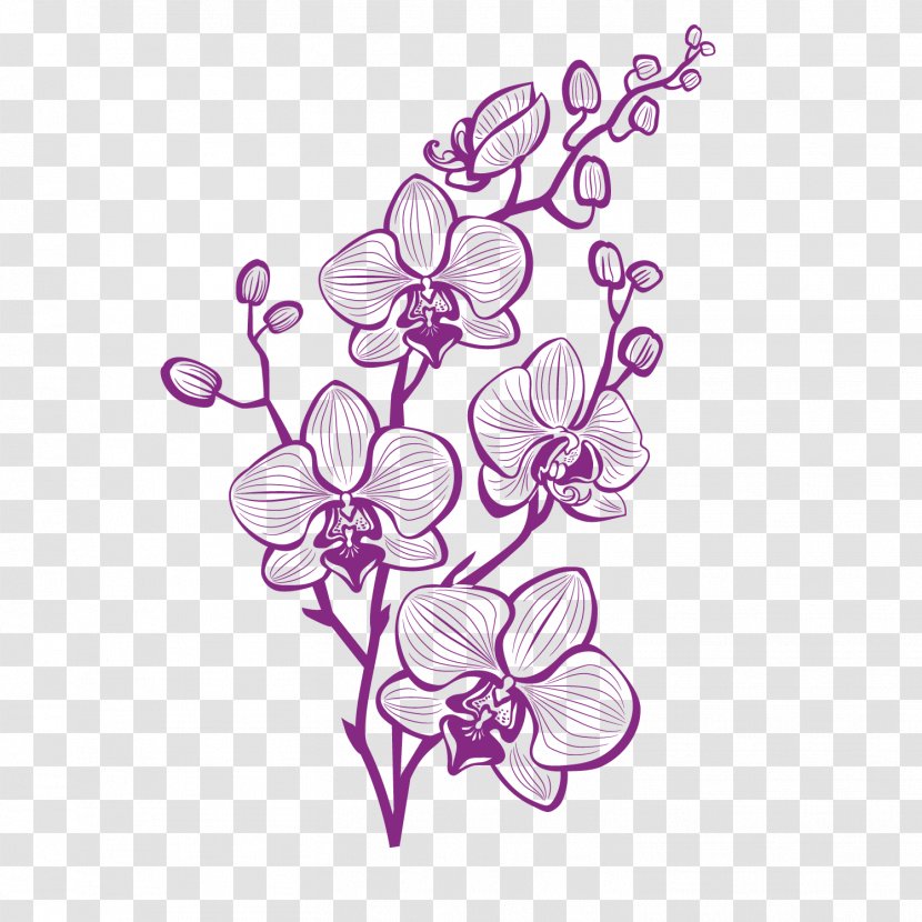 Hand Painted Purple Orchid Vector - Pink - Floral Design Transparent PNG