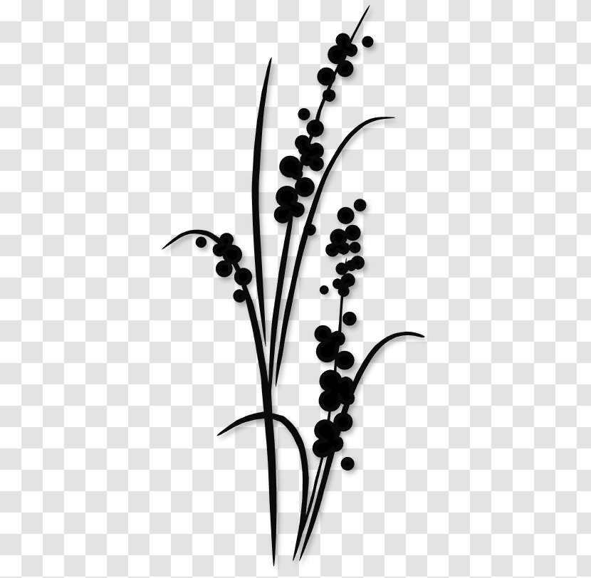 Silhouette Stencil Drawing Flower - Branch Transparent PNG