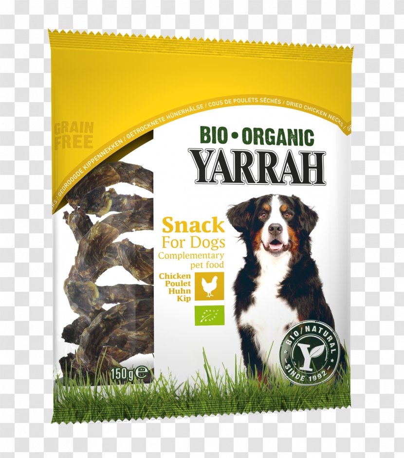 Dog Food Organic Cat Chicken - Vegetarianism Transparent PNG