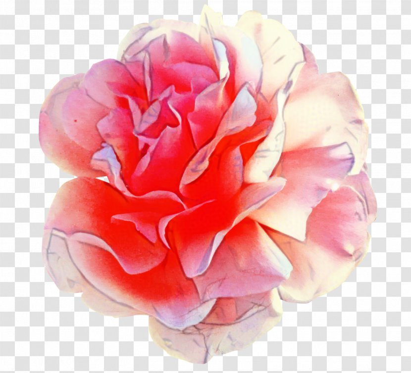 Watercolor Pink Flowers - Peony - Perennial Plant Hybrid Tea Rose Transparent PNG