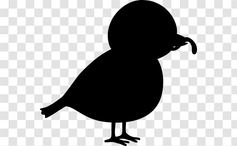 Duck Clip Art Silhouette Beak Fowl - Ducks Geese And Swans - Blackandwhite Transparent PNG