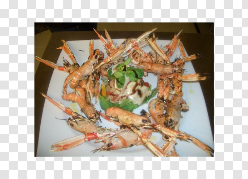 Prawns Skewer Recipe Dish - Pepe Grillo Transparent PNG