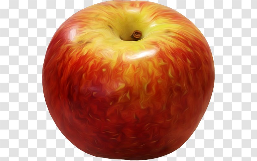 Dietitian Food Eating Alimentació Humana - Fruit - Apple Transparent PNG