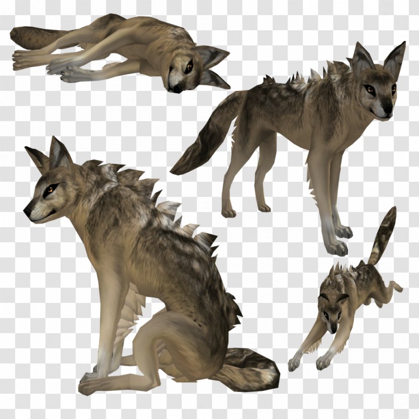 Coyote Border Collie Jackal Rough Gray Wolf - Art - Red Transparent PNG