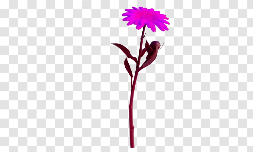 Flower Animation Clip Art - Pink Family Transparent PNG