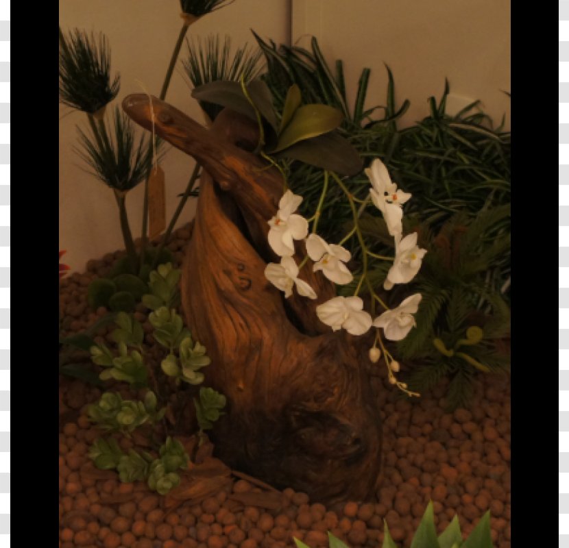 Flowerpot Houseplant Fauna Tree - Flower Transparent PNG
