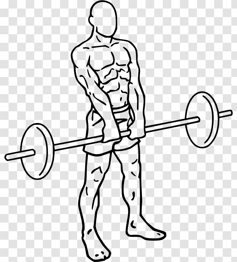 Upright Row Smith Machine Bent-over Overhead Press - Heart - Barbell Transparent PNG