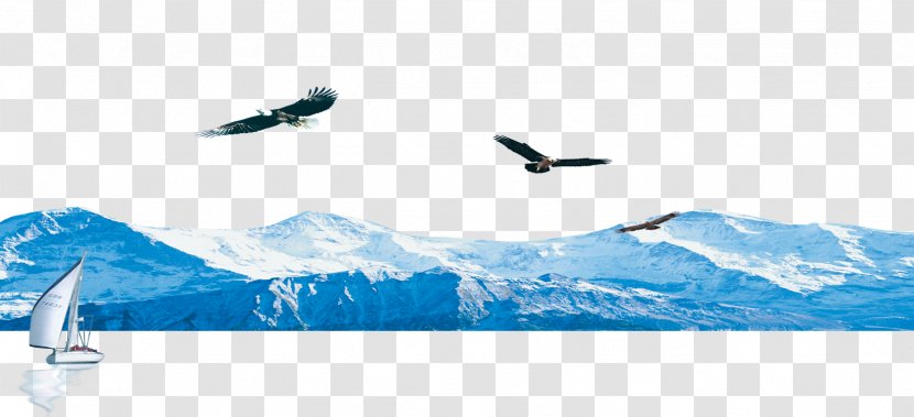 Poster Graphic Design Hawk Wallpaper - Snow Mountain Hawks Transparent PNG