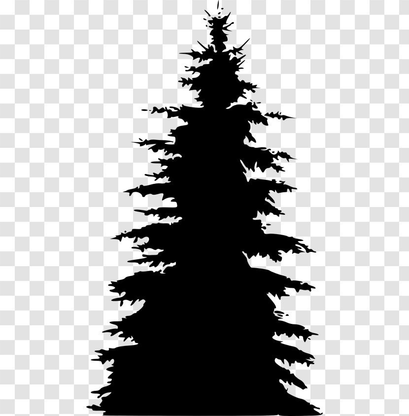 Christmas Black And White - Leaf - Cypress Family Trunk Transparent PNG