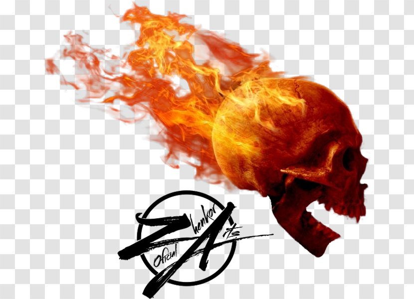 Skull Desktop Wallpaper Flame Fire Transparent PNG