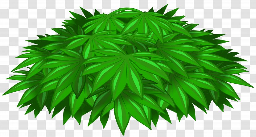 Plant Tree Clip Art - Green Transparent PNG