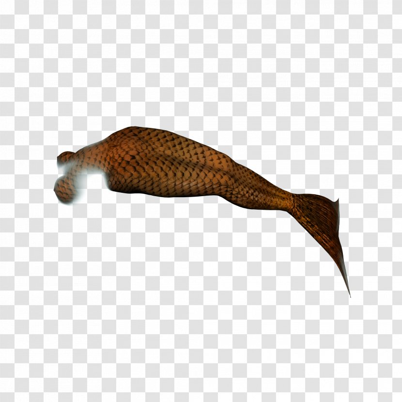 Mermaid Download Computer File - Brown - Creative Tail Transparent PNG