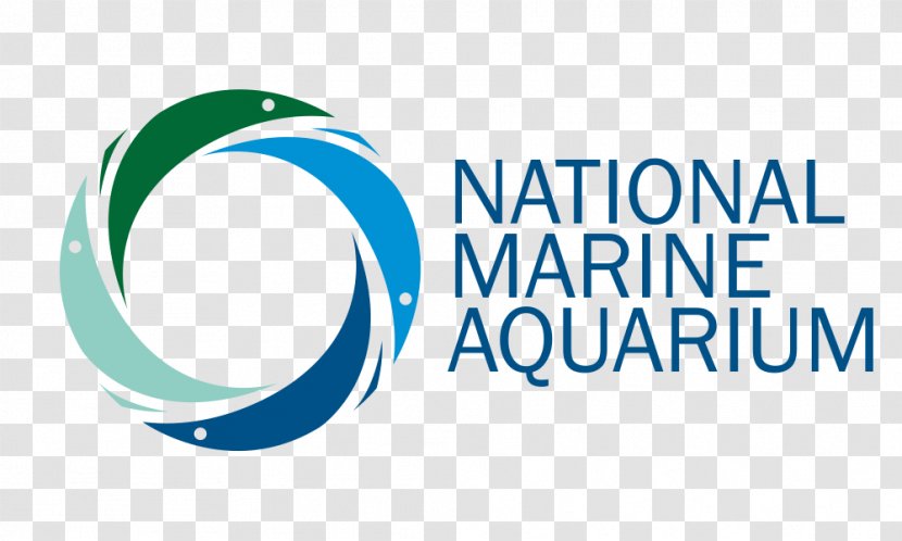 National Marine Aquarium, Plymouth Public Aquarium Malta Reef - Hotel - Reclaimed Land Transparent PNG