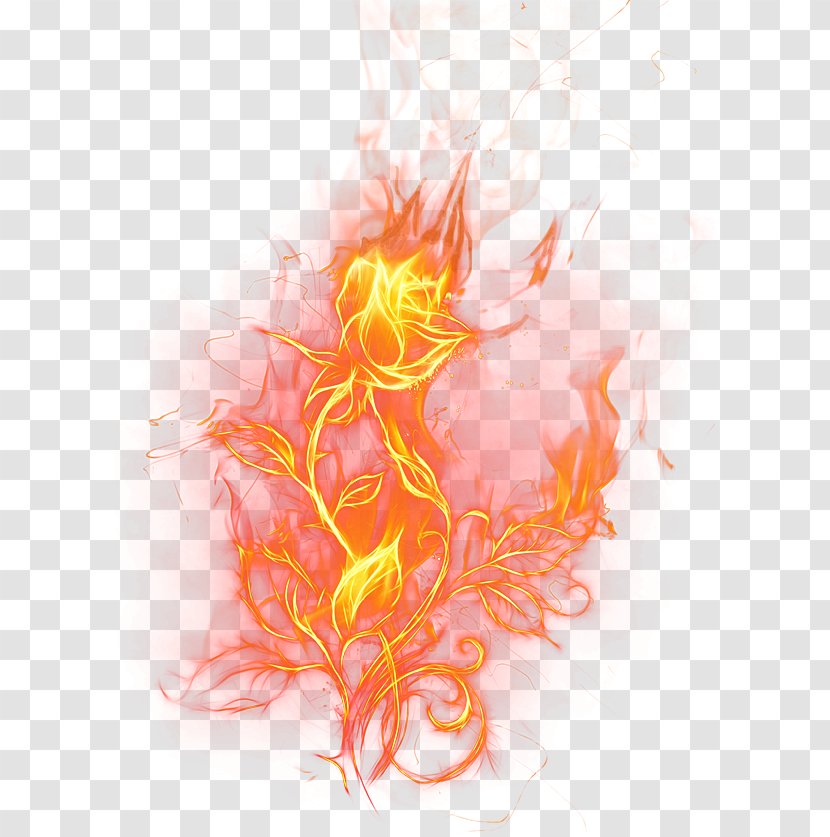 Flame Fire Rose Clip Art - Frame - Jade Flower Transparent PNG