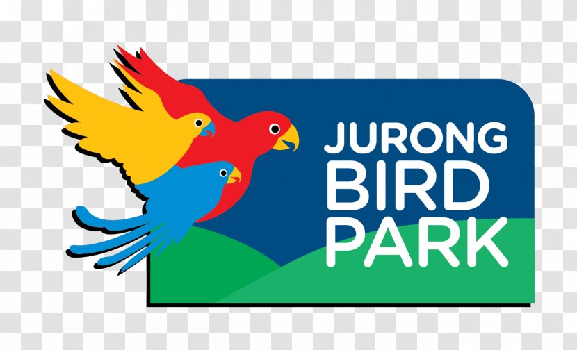 Jurong Bird Park Night Safari, Singapore River Safari Zoo Wildlife Reserves - Perico Transparent PNG