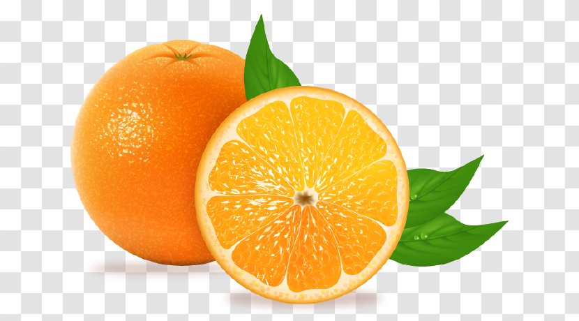 Blood Orange Tangelo Juice Tangerine Mandarin - Valencia Transparent PNG