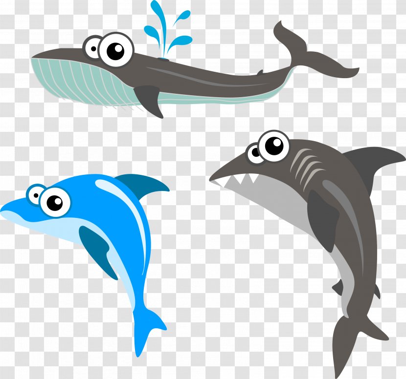 Cartoon - Marine Biology - Whale Transparent PNG