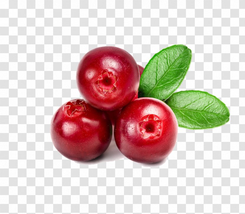 Cranberry Juice Lingonberry - Dates Transparent PNG