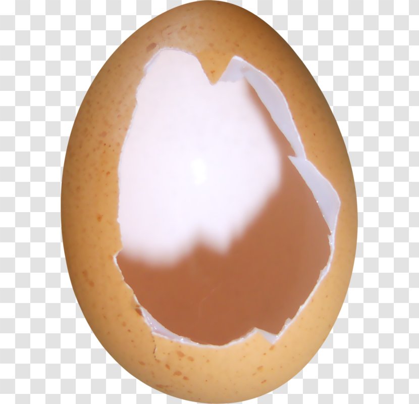 Eggshell Chicken Image - Food - Pour Toujours Transparent PNG