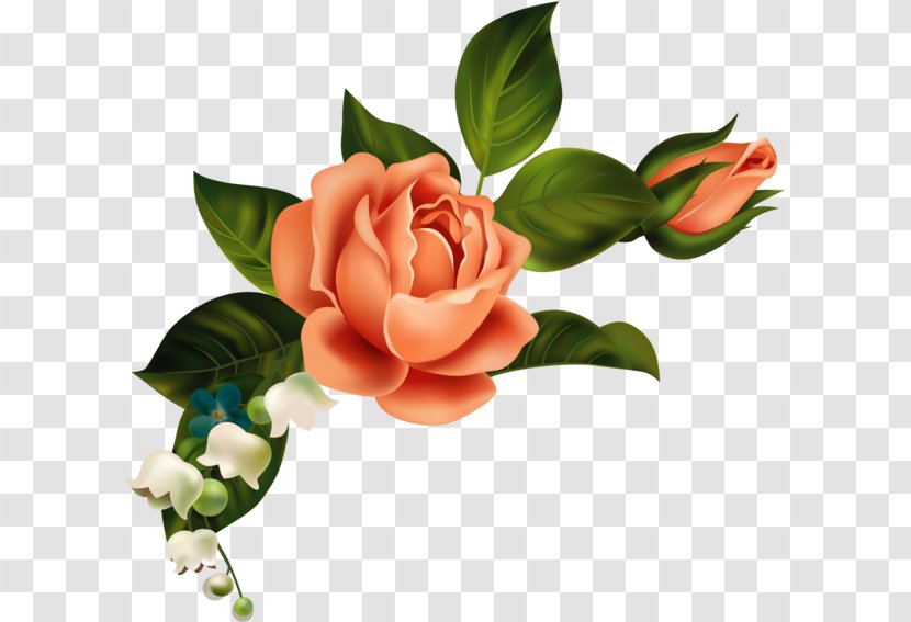 Flower Rose Floral Design Clip Art Transparent PNG