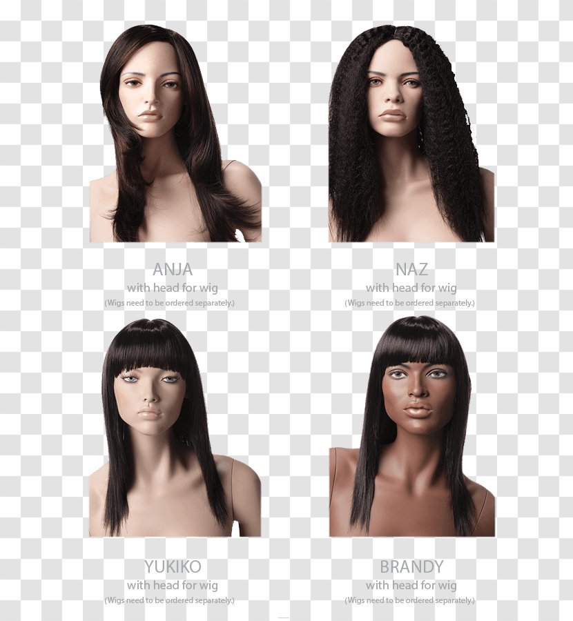 Hair Coloring Homo Sapiens Chin - Layered Transparent PNG