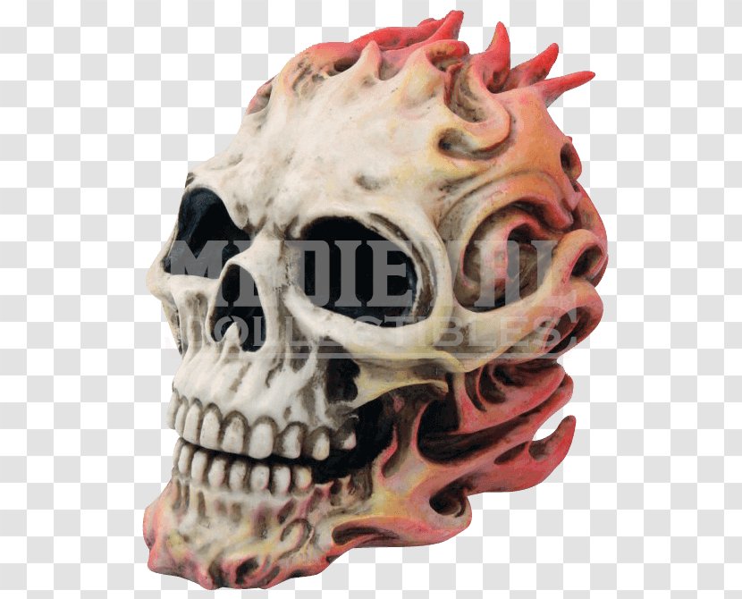 Bone Skull Skeleton Jaw - Flame Transparent PNG