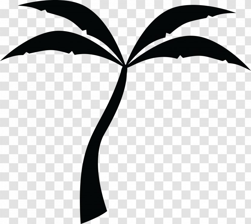 Arecaceae Silhouette Tree Clip Art - Wing - Palm Leaf Transparent PNG