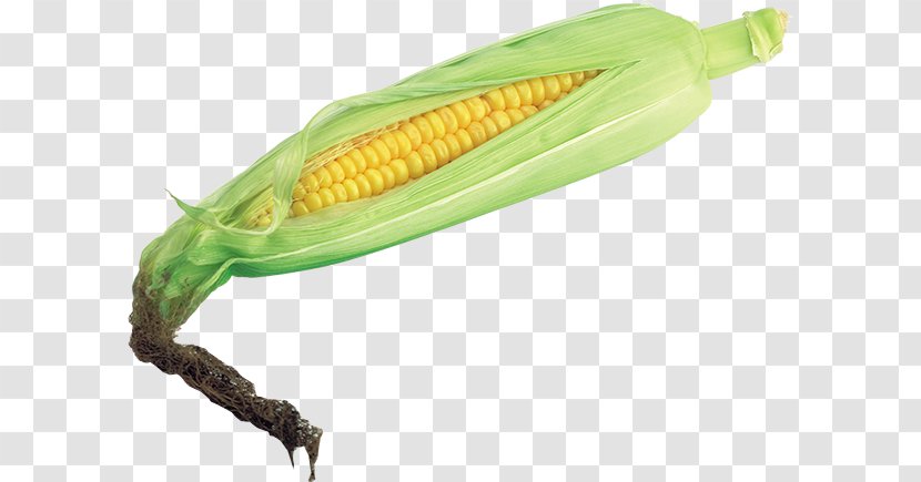 Corn On The Cob Sweet Clip Art - Cereal - Pod Transparent PNG