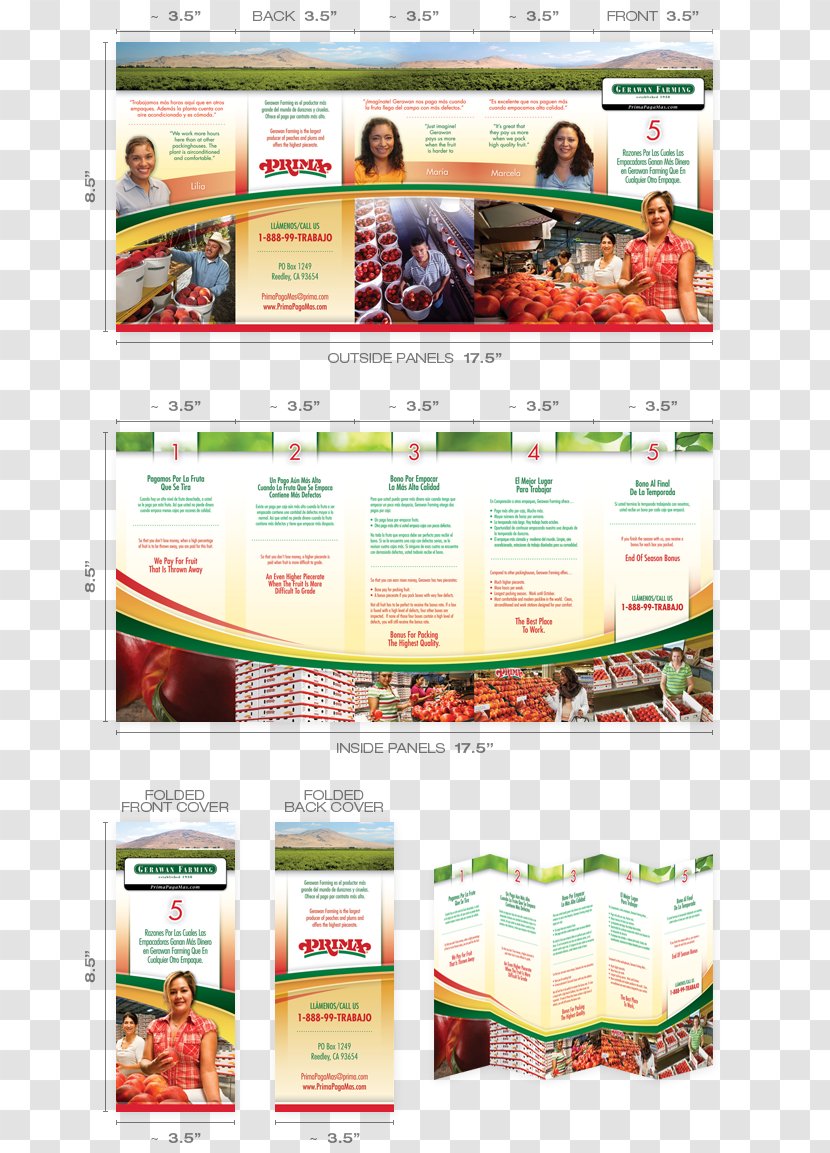 Brochure Advertising Flyer Folded Leaflet - Text - Bifold Brochures Transparent PNG