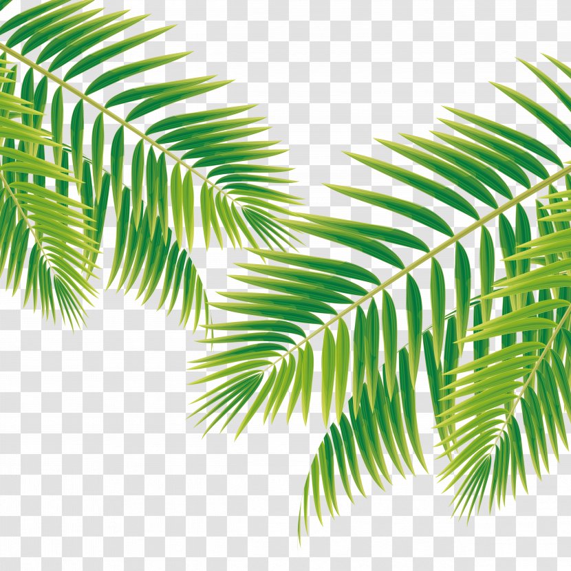 Poster Leaf Bride - Plant Stem - Small Fresh Island Tour Transparent PNG