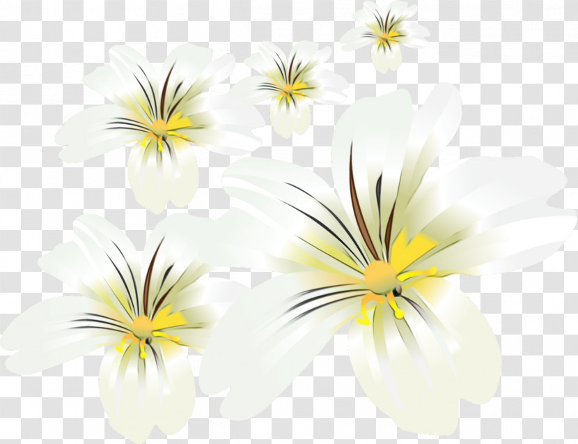 Cut Flowers Petal Yellow Flower Transparent PNG