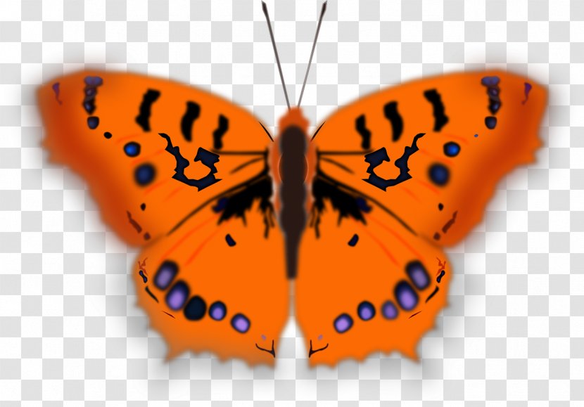 Butterfly Desktop Wallpaper Clip Art - Pollinator Transparent PNG