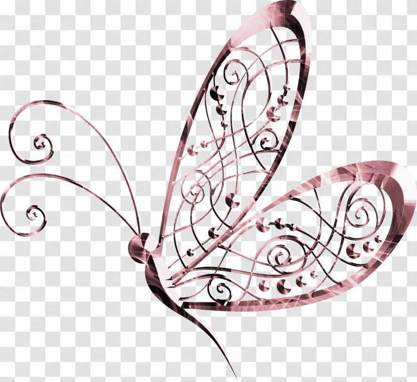 Butterfly Moth Illustration - Silhouette - Beautiful Transparent PNG