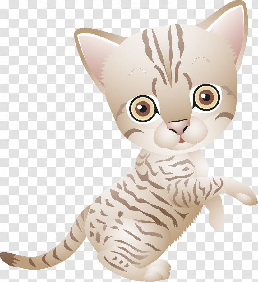 Cat Kitten Drawing Transparent PNG