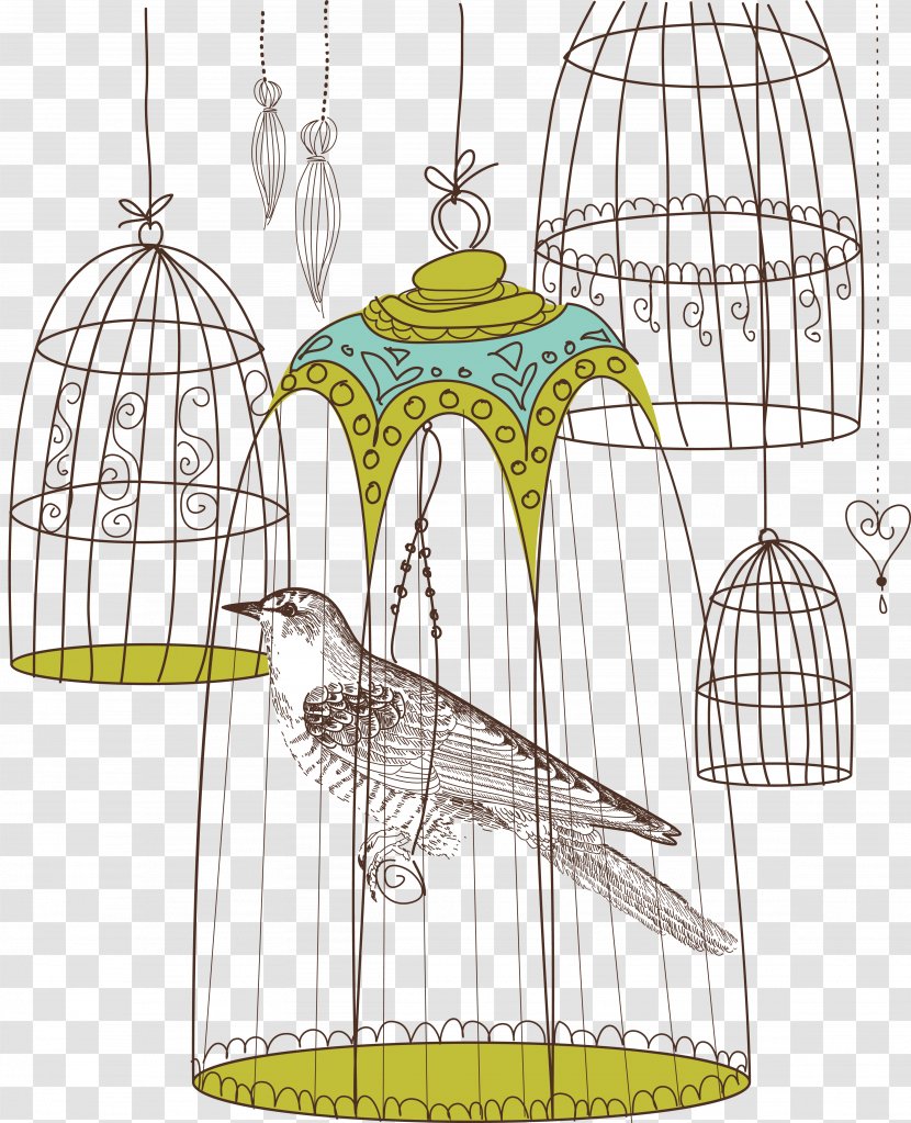 Bird Clip Art - Drawing - Cage Transparent PNG