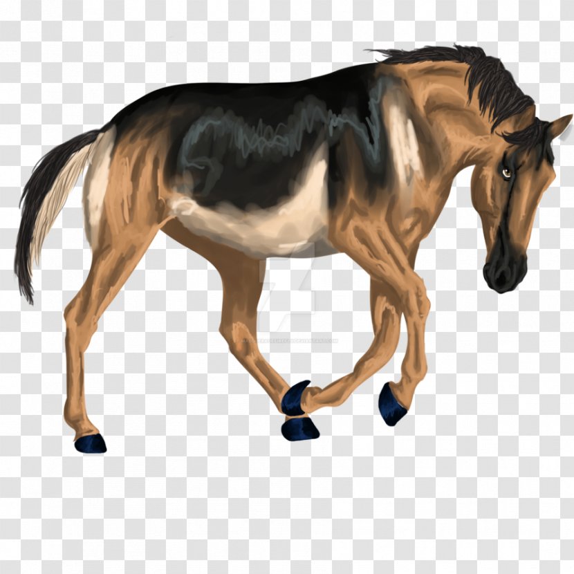 Mane Mustang Foal Rein Pony Transparent PNG