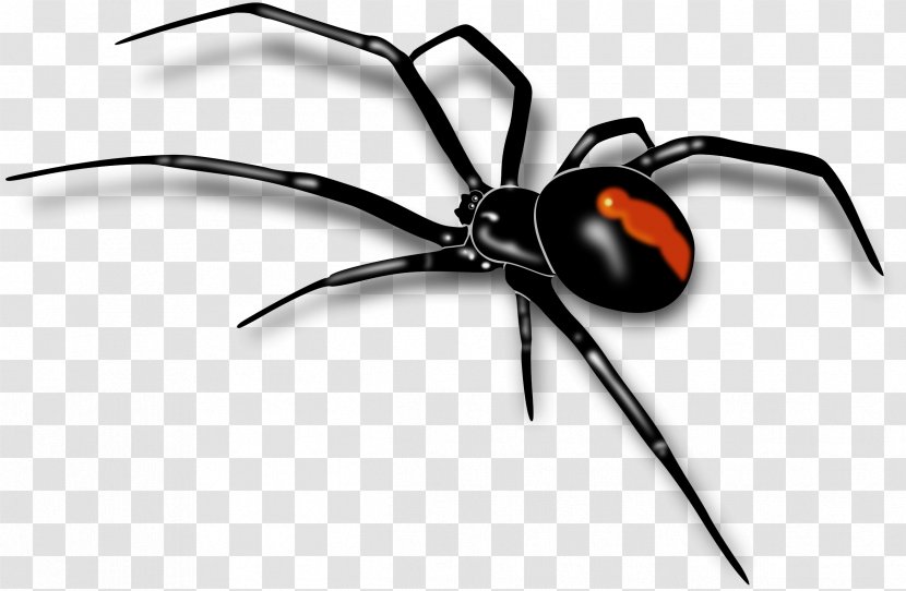 Spider Pixel Computer File - Black Widow Transparent PNG