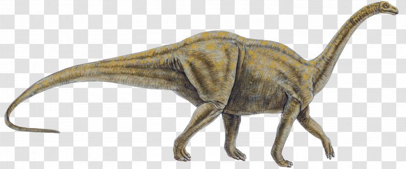 Tyrannosaurus Dinosaur Size Reptile Allosaurus - Cretaceous Transparent PNG