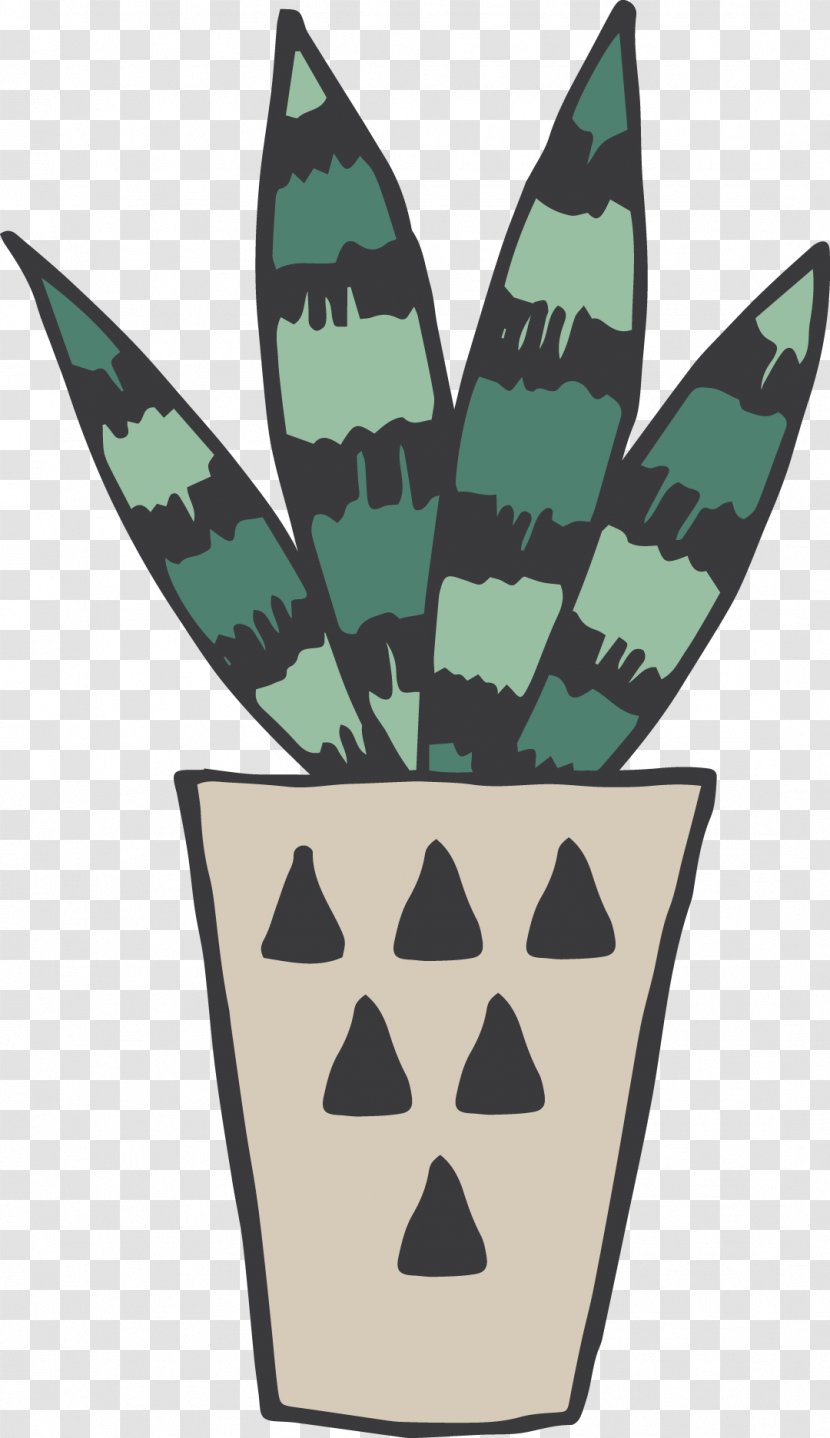 Cactaceae Drawing Succulent Plant Illustration - Leaf - Painted Green Aloe Transparent PNG
