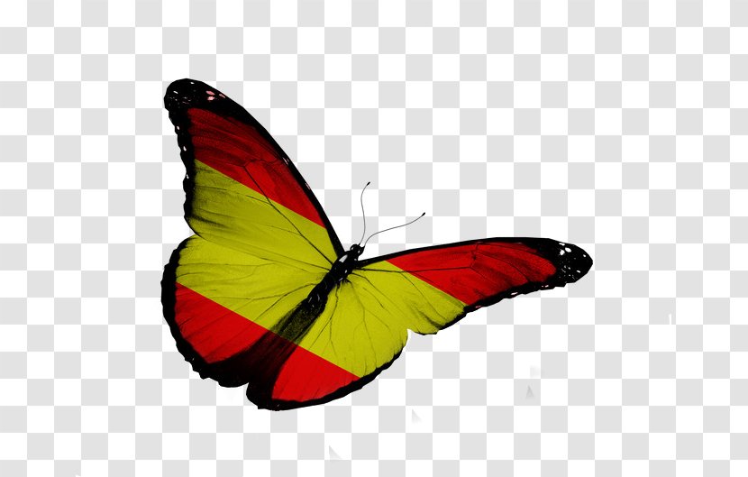 Flag Of Spain Royalty-free - Moths And Butterflies Transparent PNG