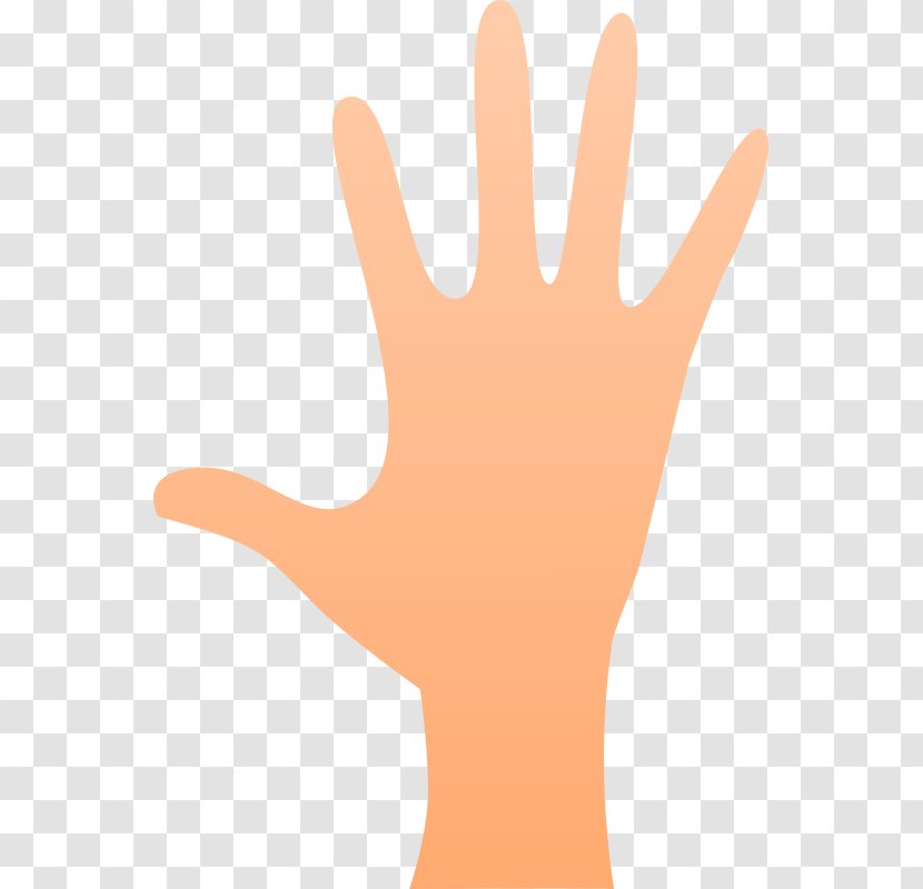 Thumb Hand Model - Cartoon Transparent PNG