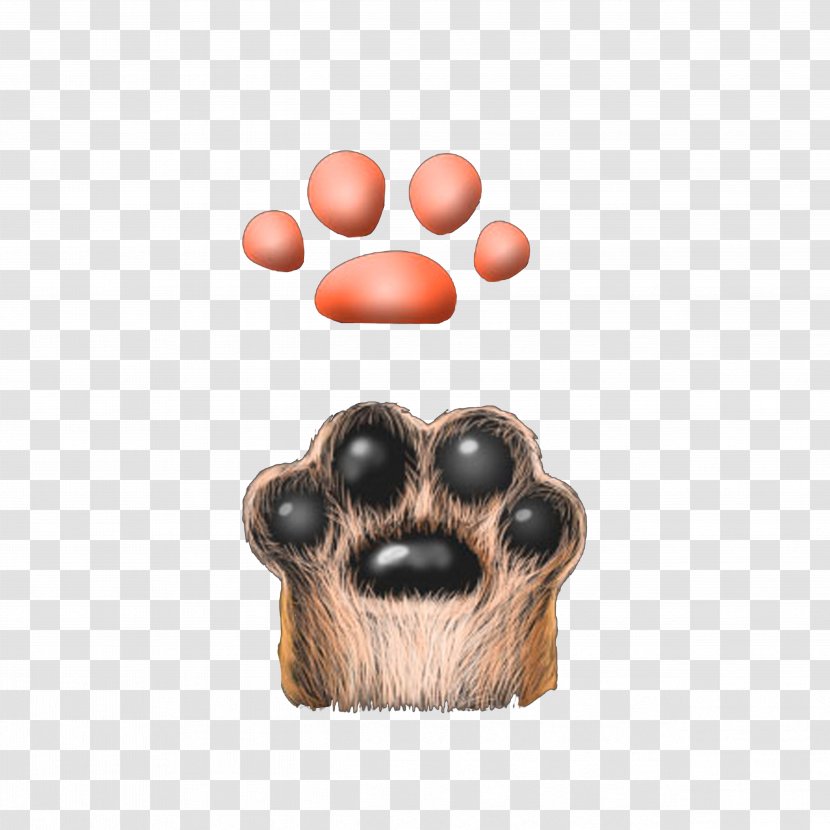Cat Claw Dog Computer File - Breed - Furry Claws Transparent PNG