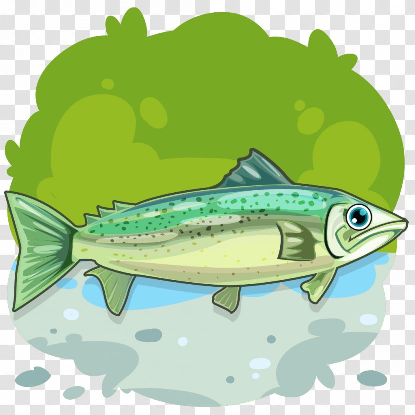Smelt Sardine Fish Rainbow Trout Fresh Water - Marine Biology - Bony Transparent PNG