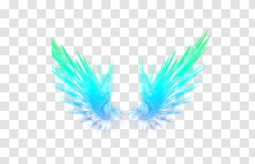 Wing Wallpaper - Aqua - Feather Light Transparent PNG
