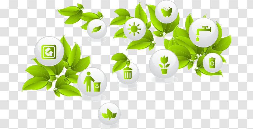 Green Icon - Plant - Abstract Leaf Pattern Transparent PNG