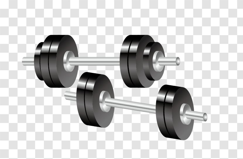 Sport Euclidean Vector Ball Icon - Symbol - Barbell Fitness Equipment Transparent PNG