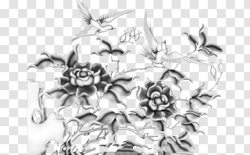 Rosa Chinensis Flower Grayscale - Google Images - Rose Bird Transparent PNG